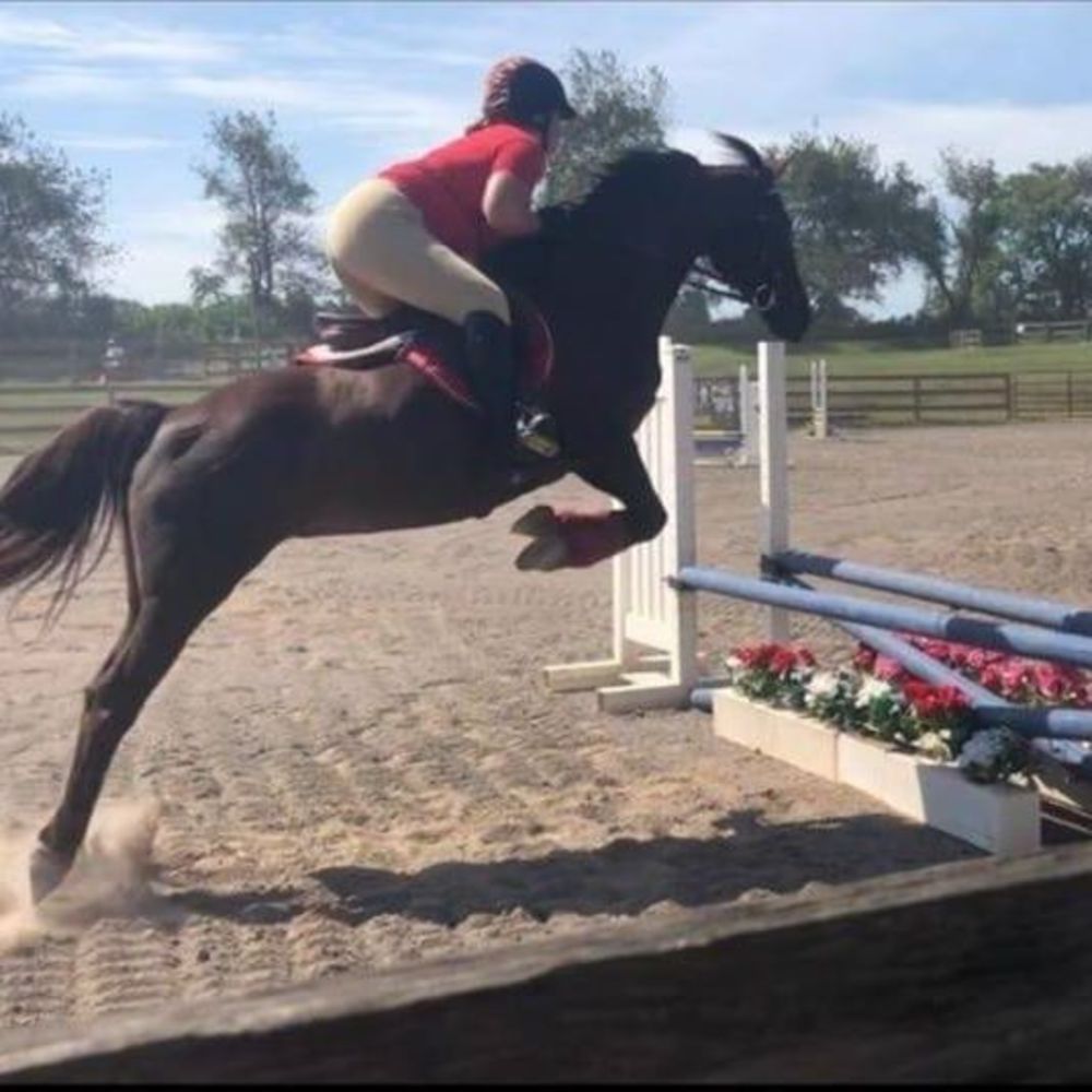 Meet your Posher, Krista